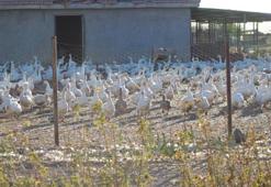 Yozgatlı girişimci 5 kazla başladı! Üretimi 850’ye çıkardı