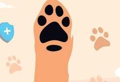 Kuduz riskli temaslar artıyor