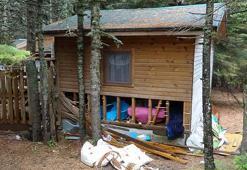 Uludağ’da 18 barakaya ayı saldırısı! Yiyecek kokusuna geldiler