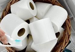 Hem koku gideriyor hem sinek kaçırıyor! Tuvalet kağıdının üzerine sıkan yaşadı