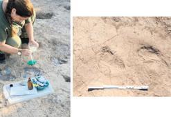 Adımlar yedi bin yıl önceden