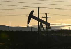 Petrol ithalatı yükseldi