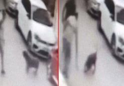 İzmir'de dehşete düşüren olay! Kemerini çıkartıp köpeğe defalarca vurdu