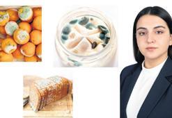 ‘Küflü gıdalar hastanelik eder’