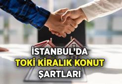 İstanbul'da TOKİ kiralık daire nasıl tutulur, şartlar nedir? 500 bin sosyal konut projesi TOKİ kiralık konut fiyatları ne kadar olacak, hangi bölgelerde olacak?