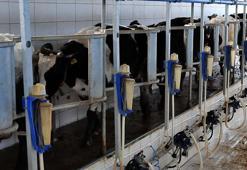 Rekabet Kurumundan süt sektöründe faaliyet gösteren sanayicilere uyarı