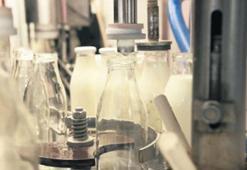 Süt sanayicisine ‘yem’ uyarısı geldi