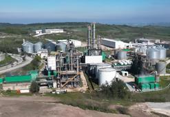 'Benzinde biyoetanol harmanlama oranı en az yüzde 5’e çıkarılmalı'