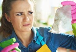 Evinizde bu koku varsa dikkat! Temizlikten değil, davetsiz misafirlerden geliyor