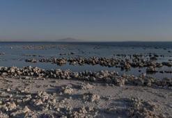 Van Gölü'nden endişe verici görüntüler! Kıyı şeridi kilometrelerce geriledi