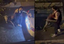 Çığlıkları ortalığı inletti! Pitbull cinsi köpek, sahibini ısırdı