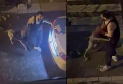 Çığlıkları ortalığı inletti! Pitbull cinsi köpek, sahibini ısırdı