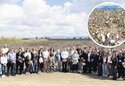 Pamukta gelecek sürdürülebilirlikte