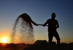 Çiftçilere destekleme ödemesi bugün yapılacak