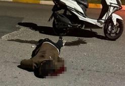 Sırtında bıçakla hastaneye gitmek isterken hayatını kaybetti