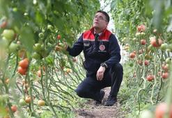 Ziraat mühendislerinin oluşturduğu sera vatandaşlara ilham oldu