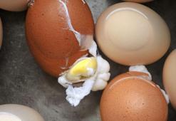 Haşlarken çatladı derdine son! Yumurta haşlarken suyuna bir kaşık ekleyin