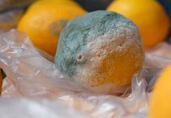 Limonu dolapta böyle saklayın! 2 ay boyunca küflenmiyor, çürümüyor