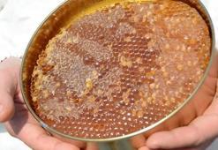 Türk balında 23,4 milyon dolarlık ihracat gerçekleştirildi