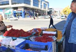 'Seyyah doktor' Erzincan'da şifa dağıtıyor