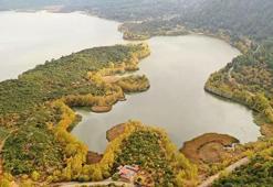 Suyu çekilince ikiye bölünen Eğirdir Gölü, hayvanların otlağı oldu