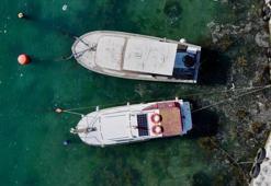 Müsilaj oluşumu görülen illerdeki balıkçılara ilave ödeme