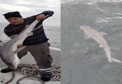 Balıkçıların ağına köpek balığı takıldı