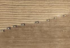 Tarımsal girdi fiyat endeksi ağustosta arttı