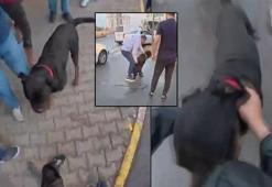 Ağızlıksız gezdirilen köpek önce kadına, sonra kuryeye saldırdı