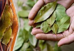 Folyoya sarıp cüzdanınıza koyun! Basit bir adımla bereket enerjisini çekin