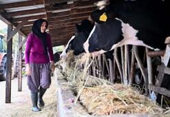 Evde başladı, şimdi çiftlik sahibi! Düzce’nin kadın girişimcisi 80’in üzerinde hayvana sahip
