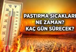 Merakla beklenen Pastırma sıcakları ne zaman olur? 2025 Yılında pastırma sıcakları hangi ayda yaşanıyor, kaç gün sürüyor?