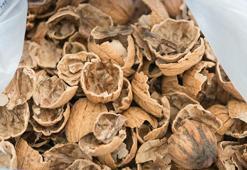 Kimyasal yerine ceviz kabuğu! Renk değiştirmekle kalmıyor saçı da besliyor