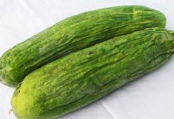 Buruştu derdine son! Salatalıkları anında çıtır çıtır yapan teknik