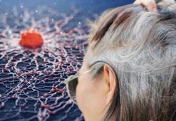 Beyaz saçların bilinmeyen sırrı! Yaşlılık değilmiş: Hücreler kanserle mi savaşıyor?