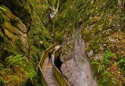 'Dünyanın cenneti'ne giden yol: Türkiye'de duyan akın ediyor