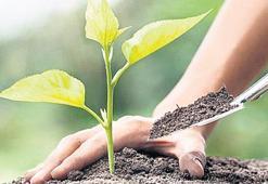 Yeşil vatan seferberliği 11 Kasım’da başlıyor