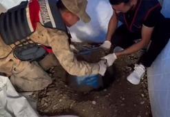 Deprem çadırında akılalmaz olay! 12 kilo uyuşturucuyu toprağa gömmüş