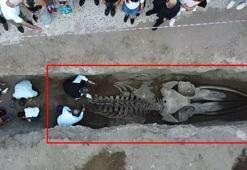 Çıkarılması bir hafta sürdü, tam 16 metre! Böylesi ilk kez yaşanıyor