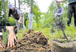 Her bebek için bir fidan! Yeşil Vatan seferberliği başlıyor