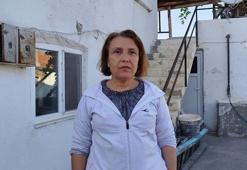 Yer: Çorum! Çatısına yuva yapan eşek arılarının soktuğu kadın hastanelik oldu