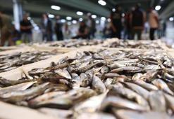 İstanbul'da halde, 13 bin 923 ton balık satışa sunuldu