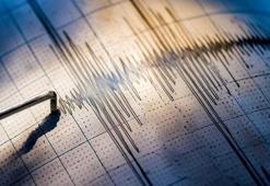 Japonya’da depremin ardından hafif ölçekli tsunami meydana geldi