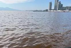 Deniz kahverengiye döndü, koku dayanılmaz hale geldi