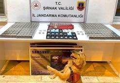 Şırnak’ta kaçakçılık ve uyuşturucu operasyonu: 91 gözaltı