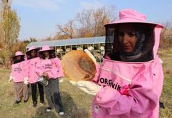 Van’da pembe kıyafetli kadın arıcılar! Hem bal üretiyorlar hem de farkındalık