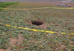 Pancar tarlasında görüldü! Halk korku içinde