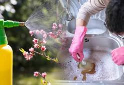 Lavabo açıcı almaya gerek yok! Tıkanan giderin çaresi böceksavardaymış