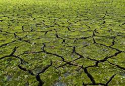 İstanbul'da korkutan manzara! Seviye yüzde 21,41 olarak ölçüldü