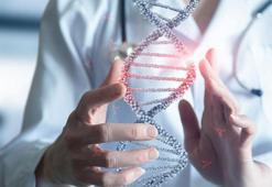 Kanser hücrelerini yok etmede %100 etkili bir bakteri keşfedildi